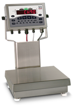 Rice Lake CW-90 Over/Under Checkweigher